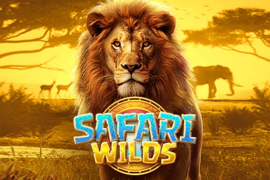 Safariwilds Бест Казино слот